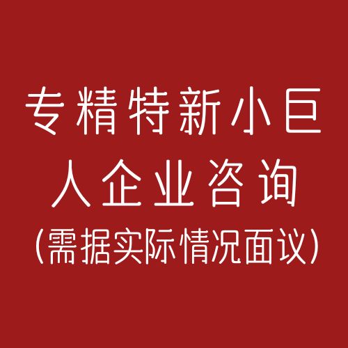 专精特新小巨人企业咨询(咨询服务)